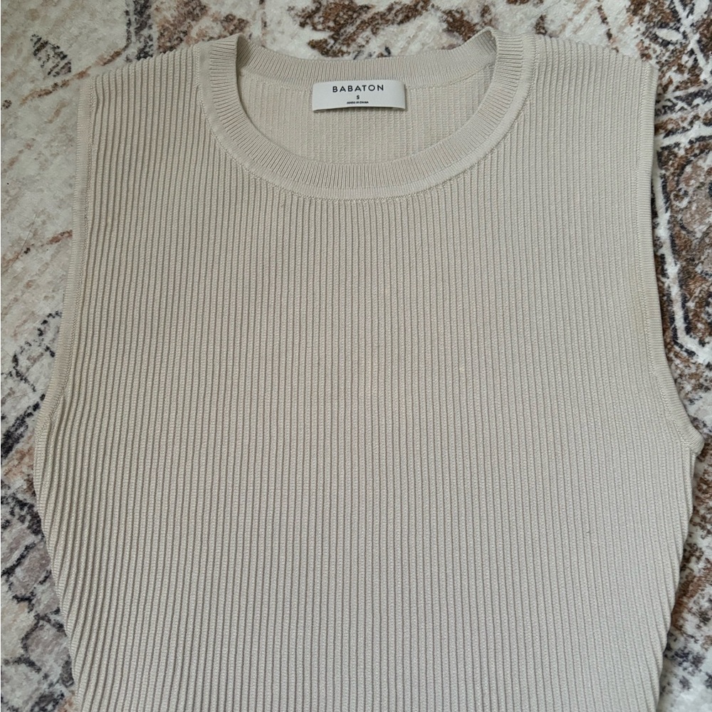 Aritzia Babaton Sculpt Top